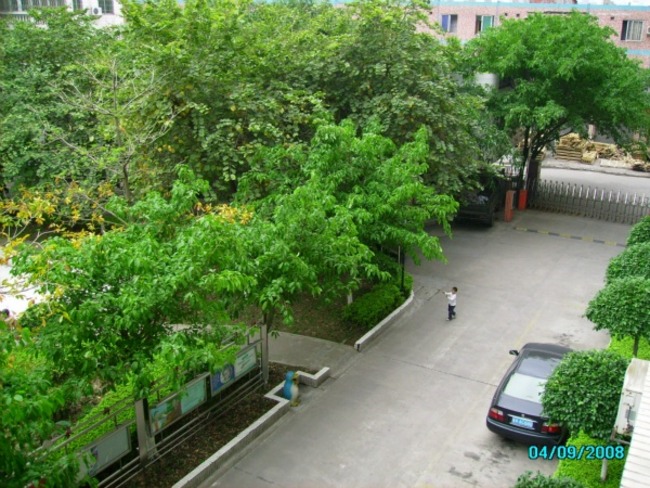 广州中人小区二手房房源图片