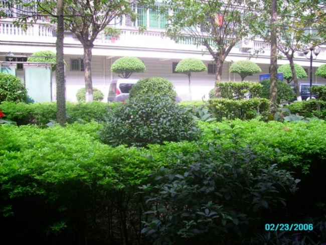 广州中人小区二手房房源图片