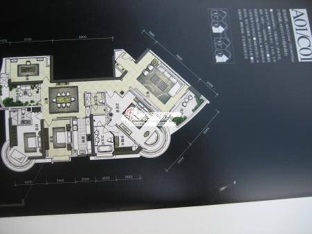 广州华标品峰二手房房源图片