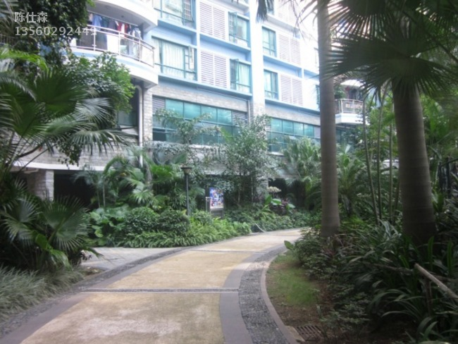 广州广州白天鹅花园二手房房源图片