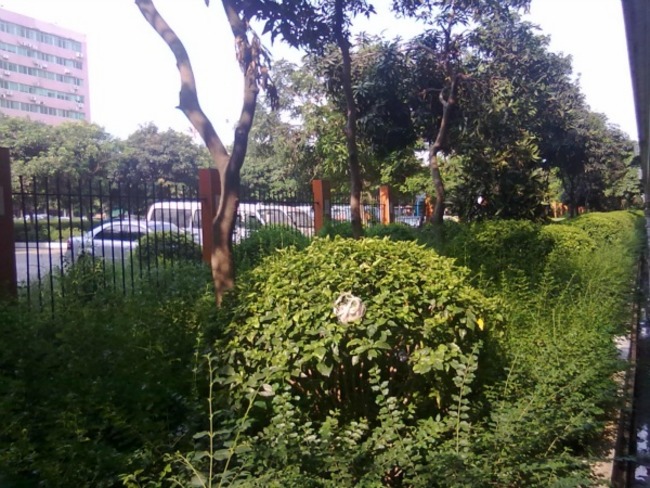 广州中人小区二手房房源图片