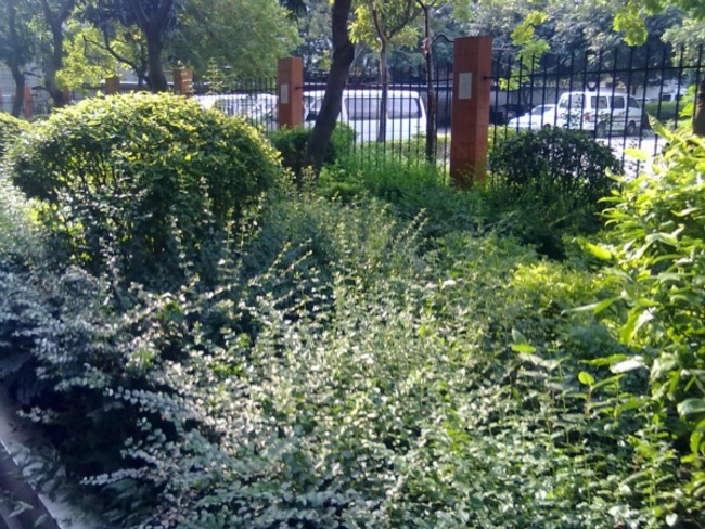 广州中人小区二手房房源图片