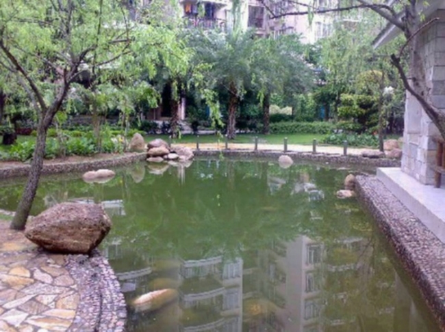 广州广州白天鹅花园二手房房源图片