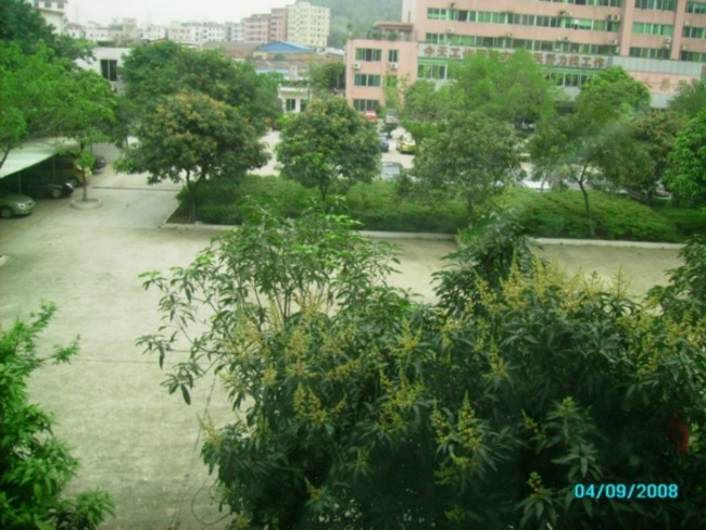 广州中人小区二手房房源图片