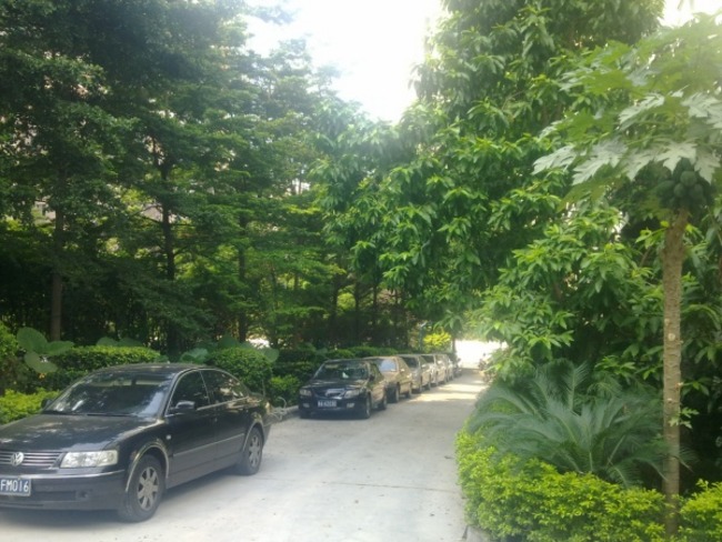 广州和风雅居二手房房源图片