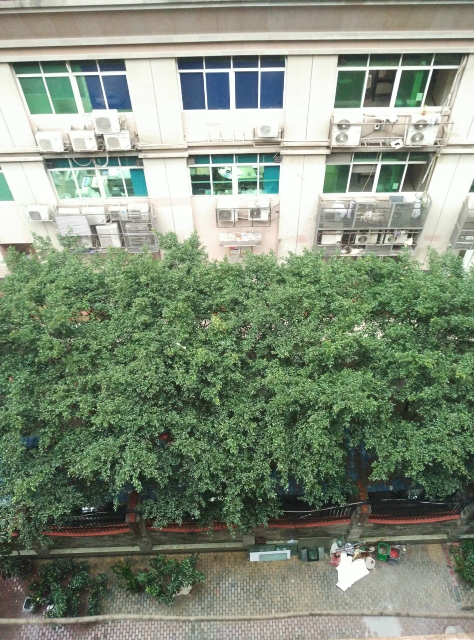 广州东郊市场1号-6号小区二手房房源图片