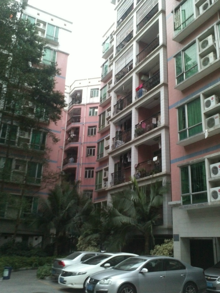 桥福园,房源真实,价格超值,这样的好房子你还犹豫什么