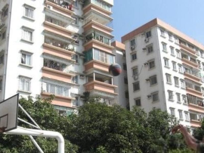 广州白天鹅公安宿舍二手房房源图片