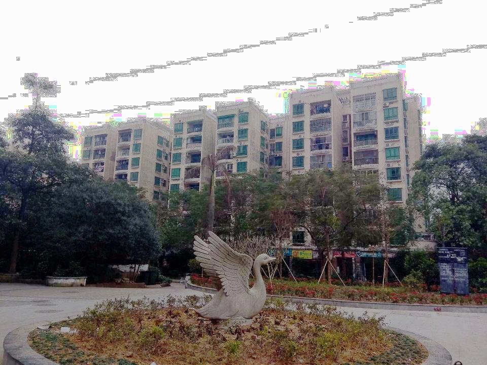 广州广州白天鹅花园二手房房源图片