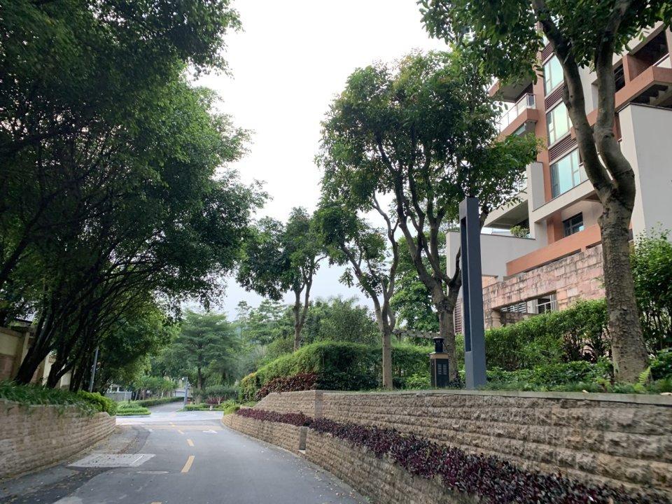 广州金湖花园二手房房源图片