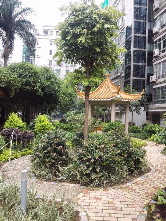 广州中人小区二手房房源图片