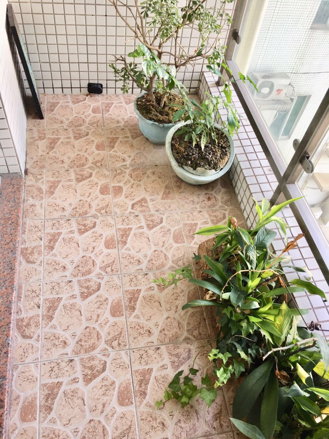 广州广州白天鹅花园二手房房源图片