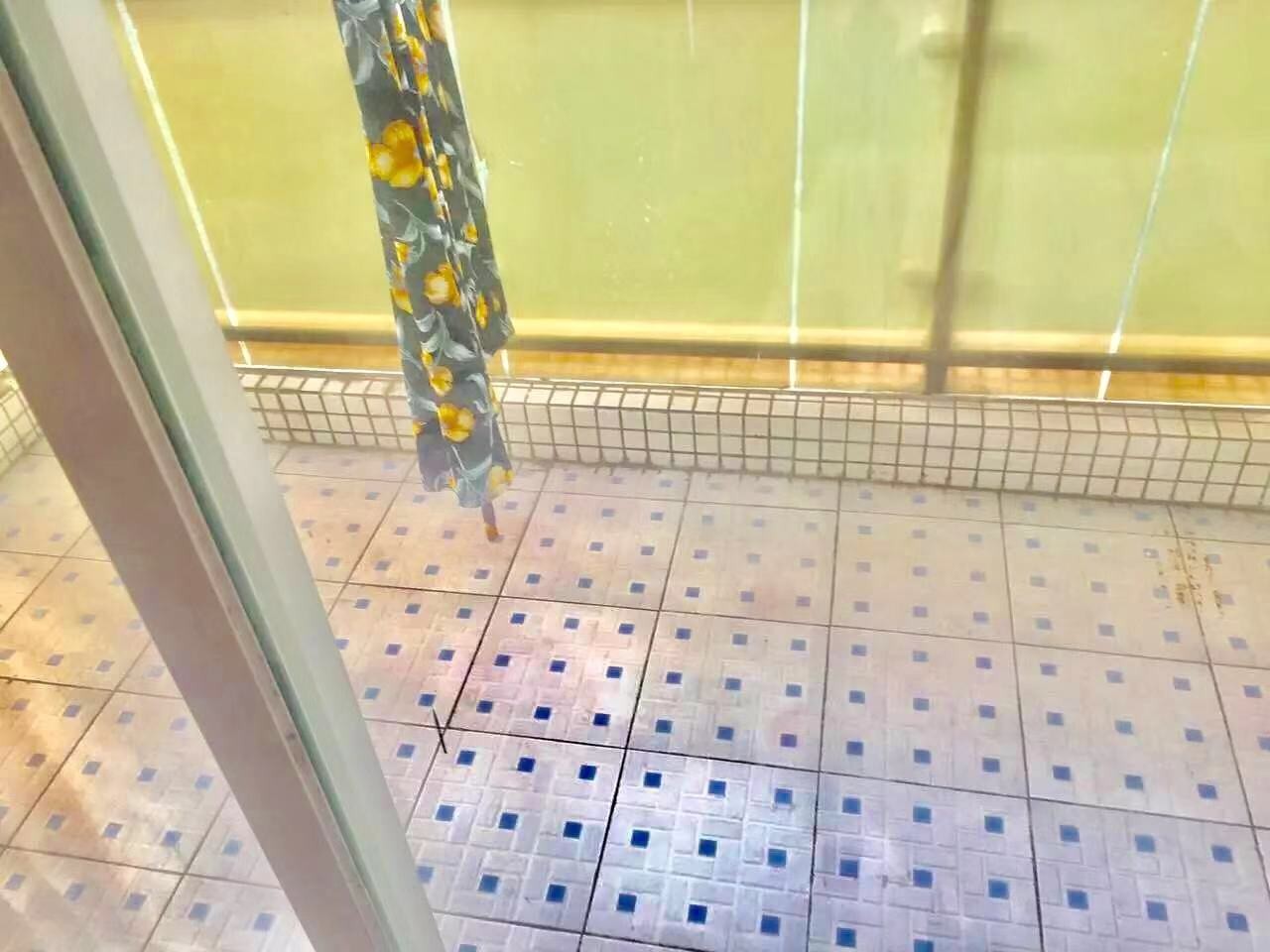 广州广州白天鹅花园二手房房源图片