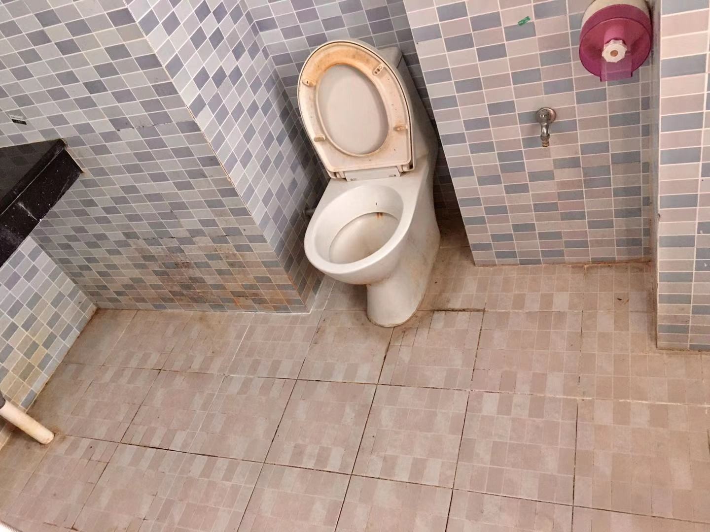 广州广州白天鹅花园二手房房源图片