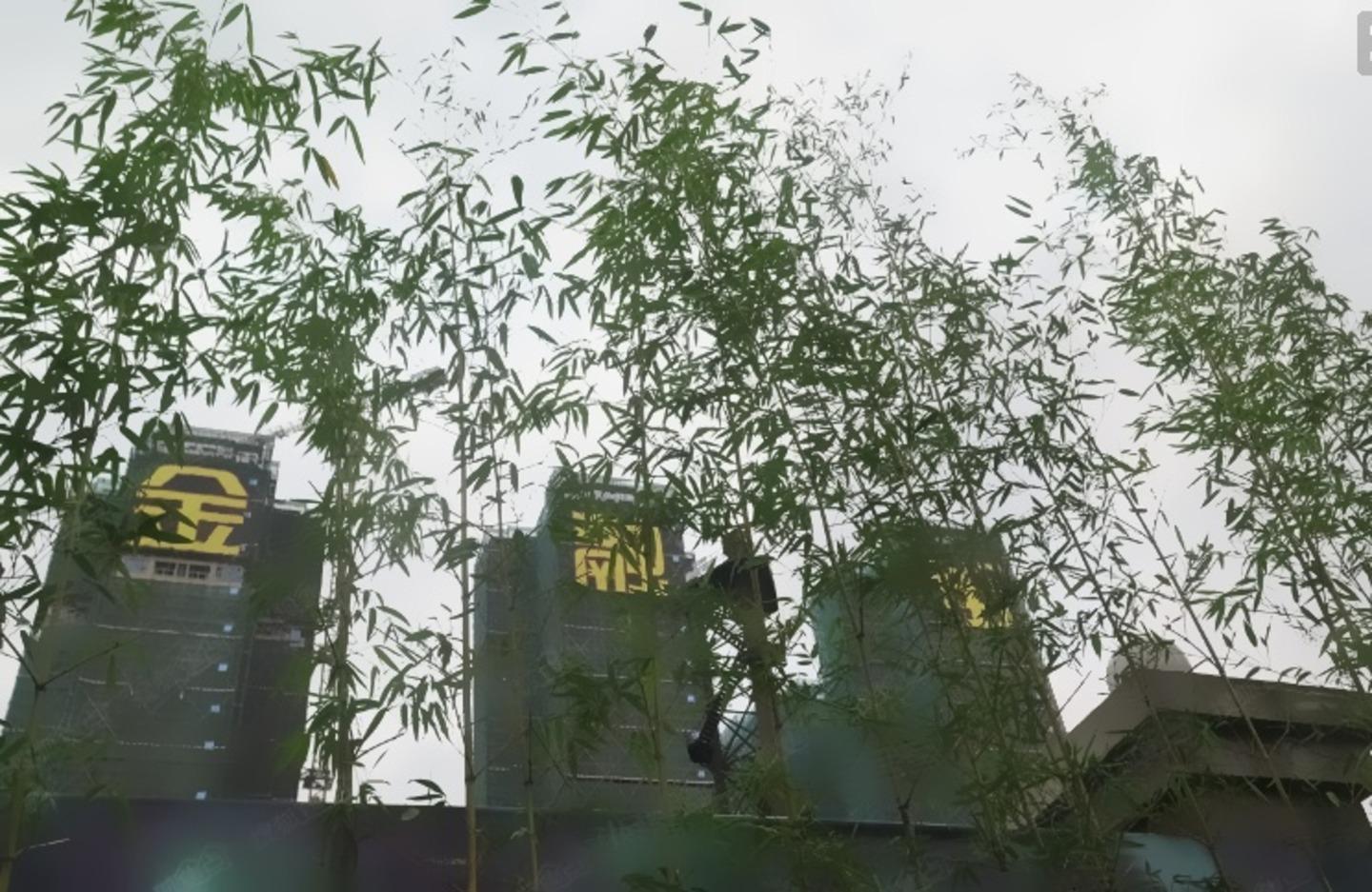 广州金融街融穗华府二手房房源图片
