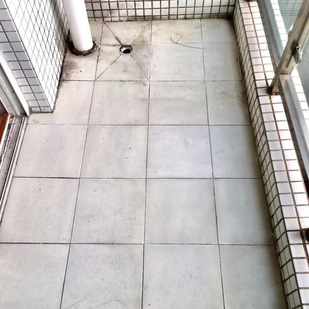 广州广州白天鹅花园二手房房源图片