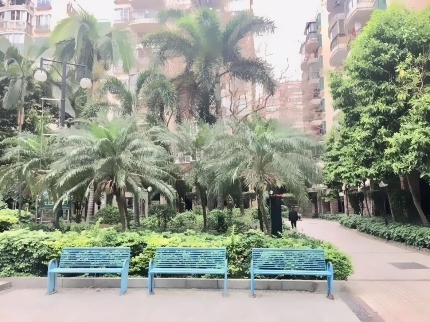 广州广州白天鹅花园二手房房源图片