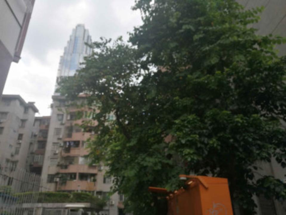 广州南雅苑小区二手房房源图片