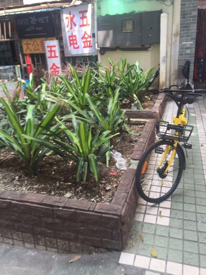 广州仁康里二手房房源图片
