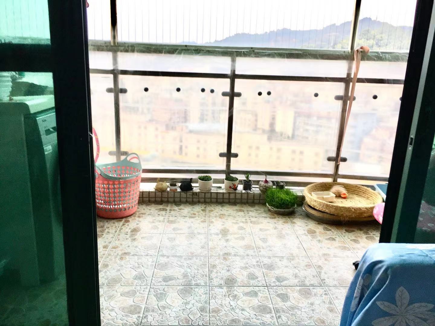 广州广州白天鹅花园二手房房源图片