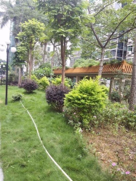 广州中人小区二手房房源图片