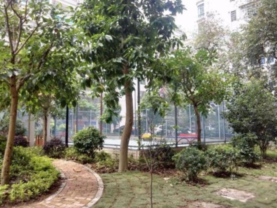 广州中人小区二手房房源图片