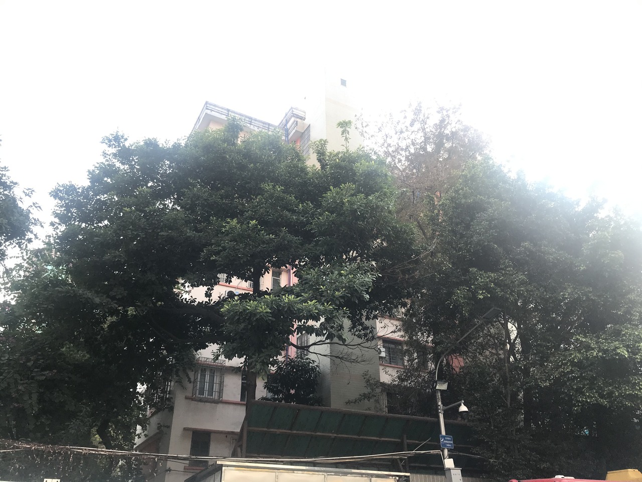 广州东风东路大院二手房房源图片