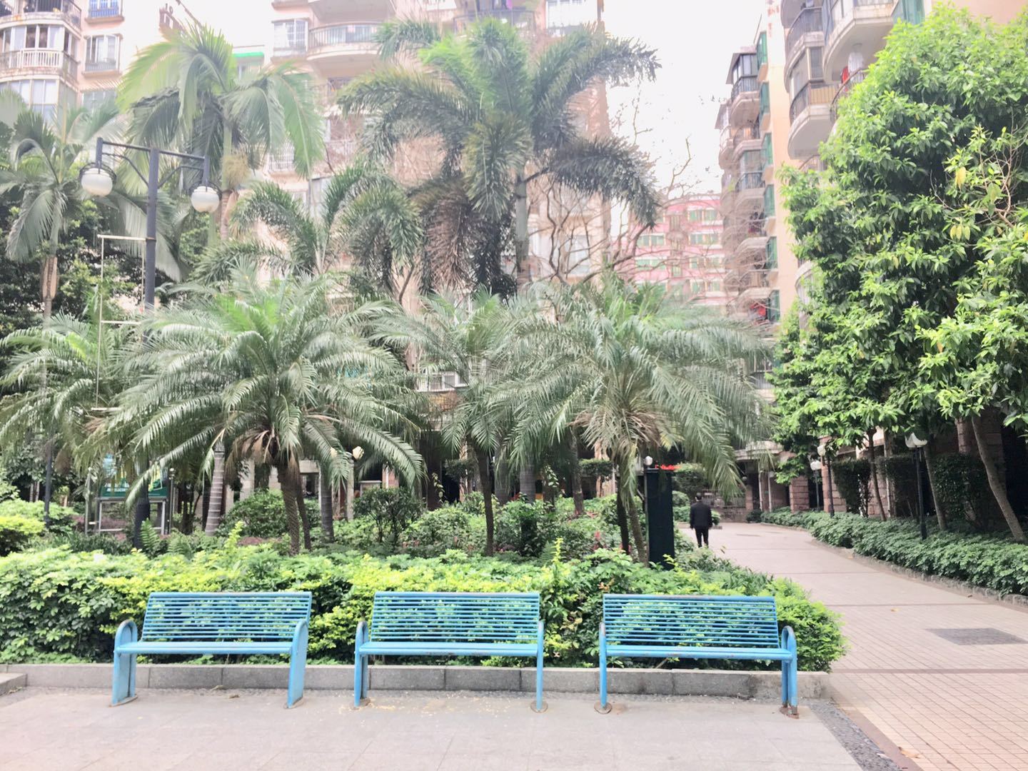 广州广州白天鹅花园二手房房源图片