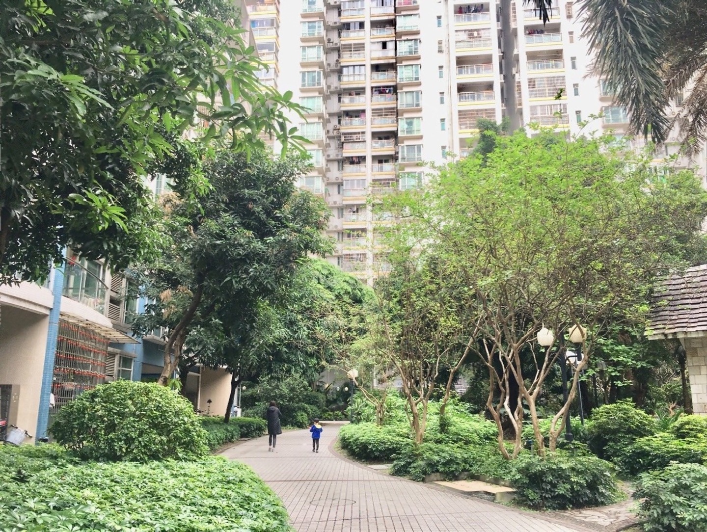 广州广州白天鹅花园二手房房源图片