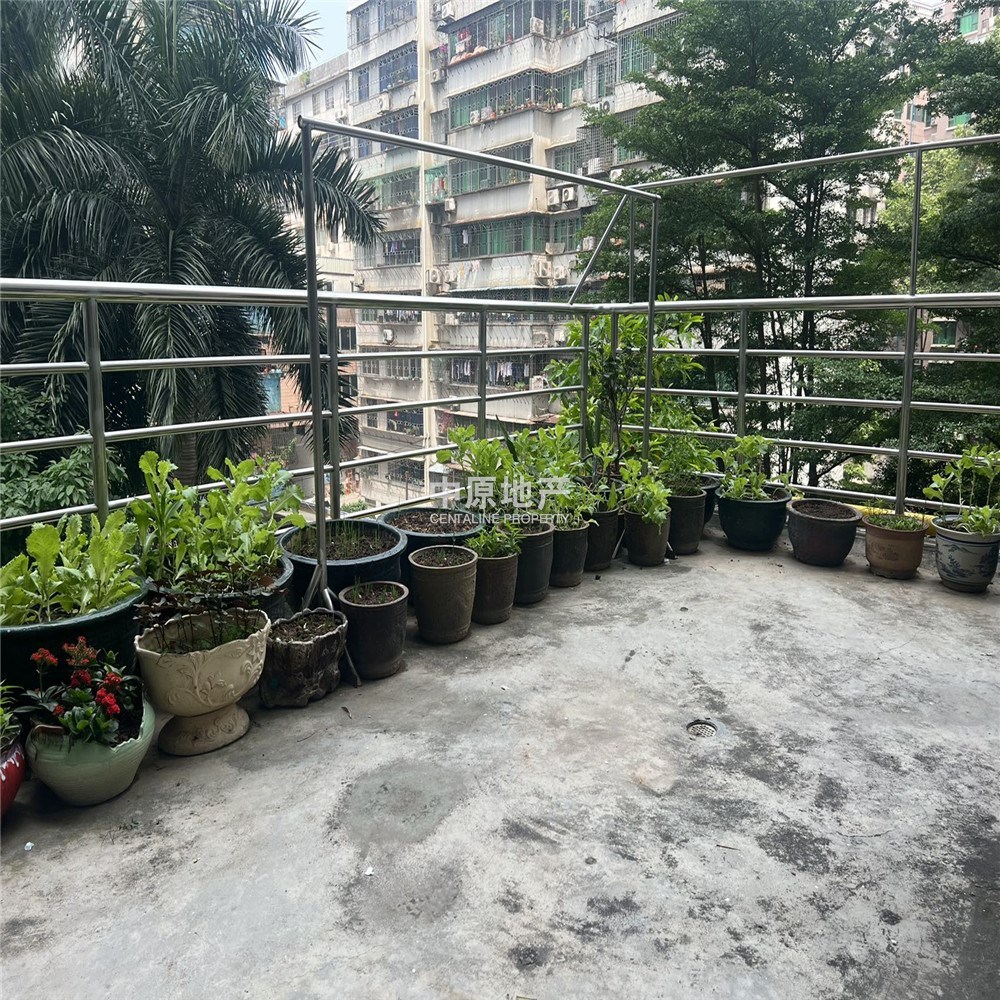 广州和风雅居二手房房源图片