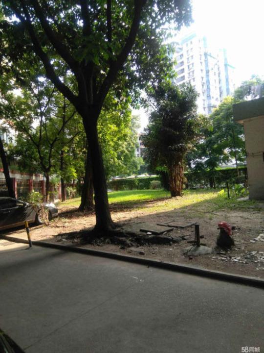 广州体育东铁路局宿舍二手房房源图片