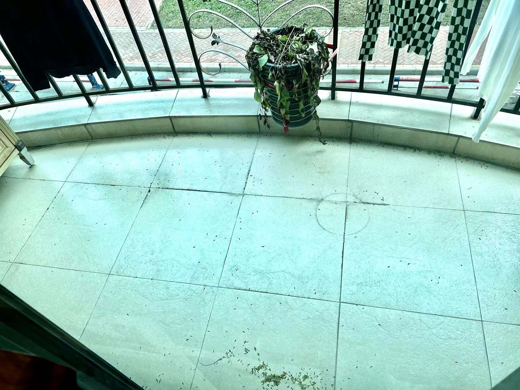 广州广州白天鹅花园二手房房源图片