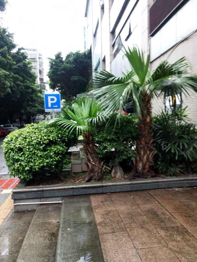 广州都市华庭(天河)二手房房源图片