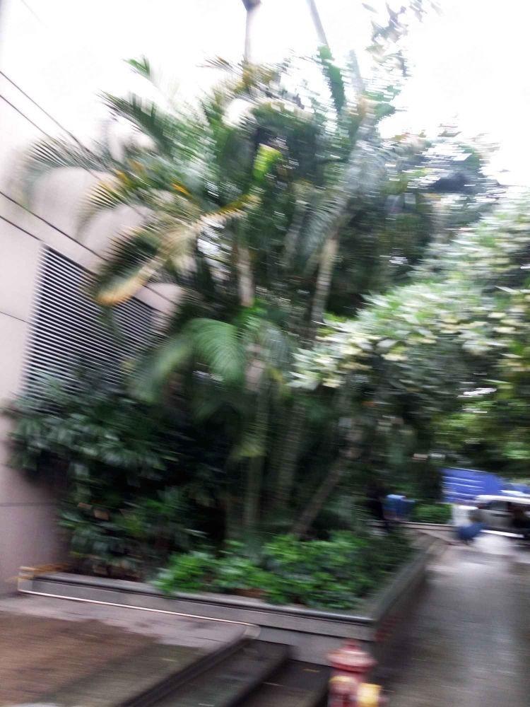 广州都市华庭(天河)二手房房源图片