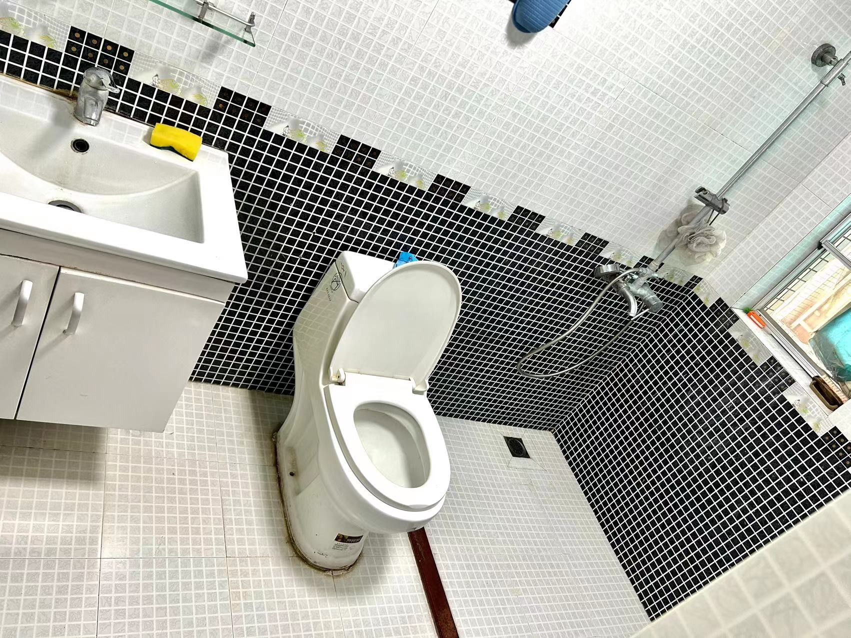 广州广州白天鹅花园二手房房源图片