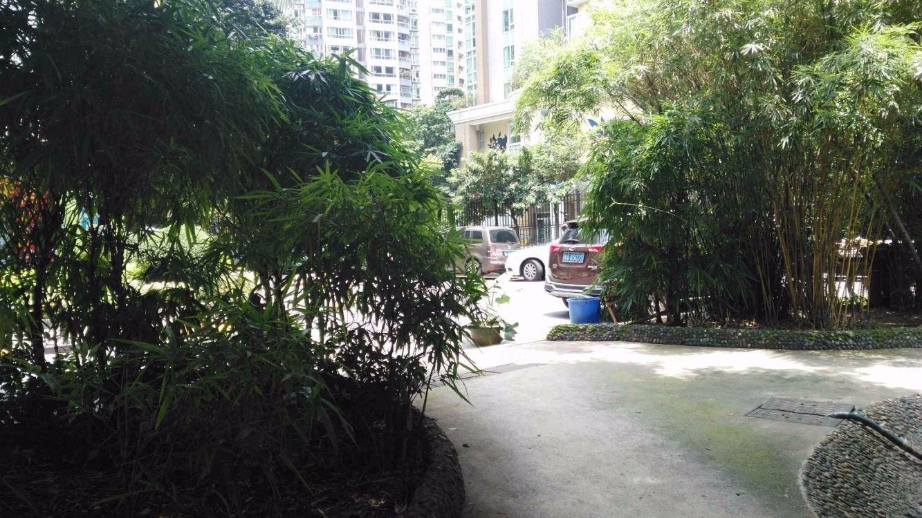 广州金羊花园二手房房源图片