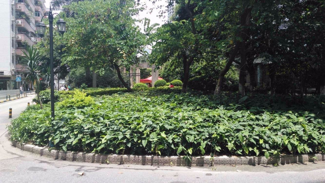 广州金羊花园二手房房源图片