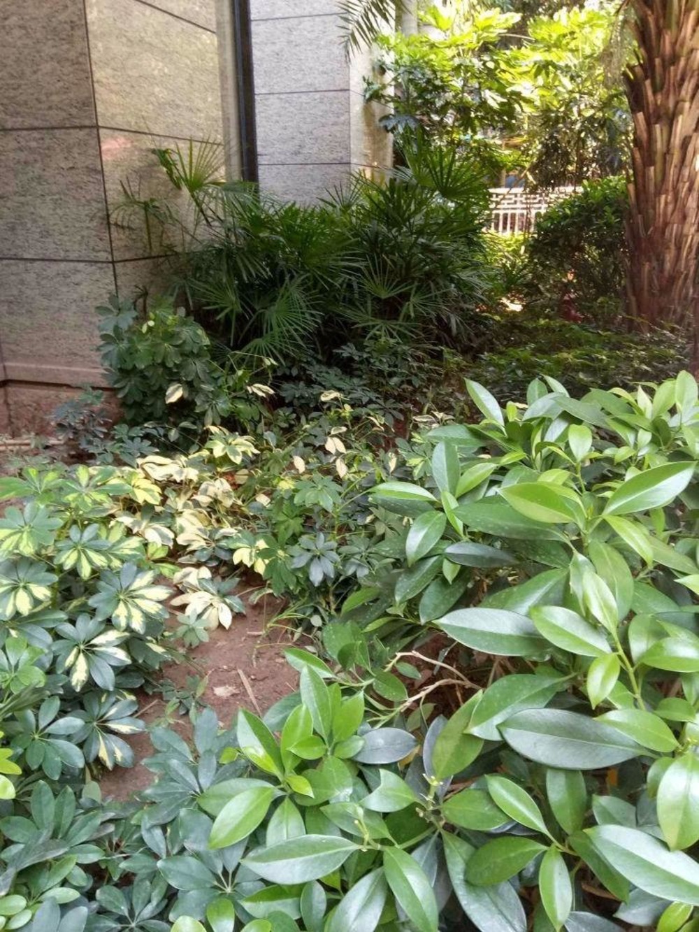 广州海景农林华府二手房房源图片