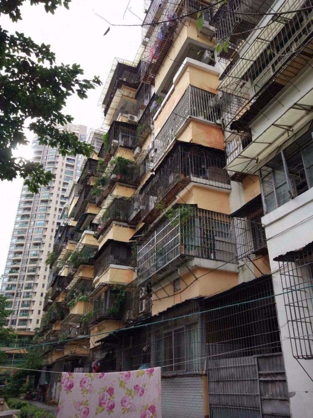 广州东环路6号大院二手房房源图片