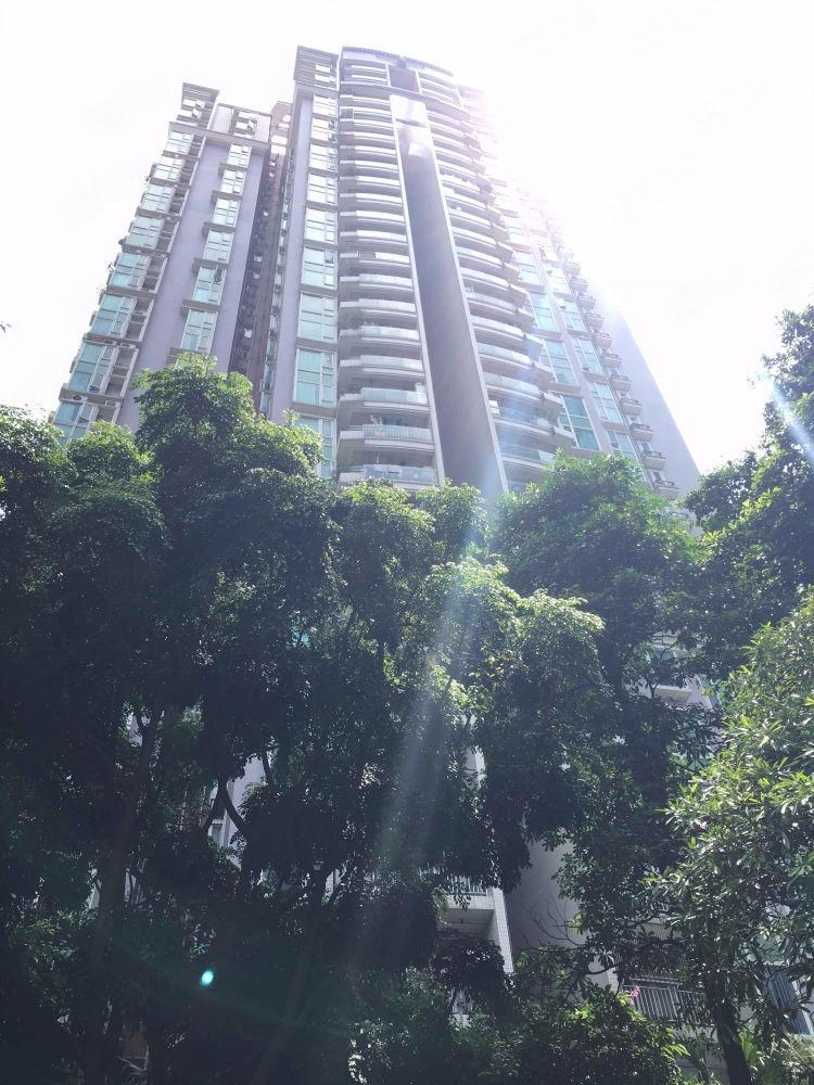 广州富力东堤湾二手房房源图片