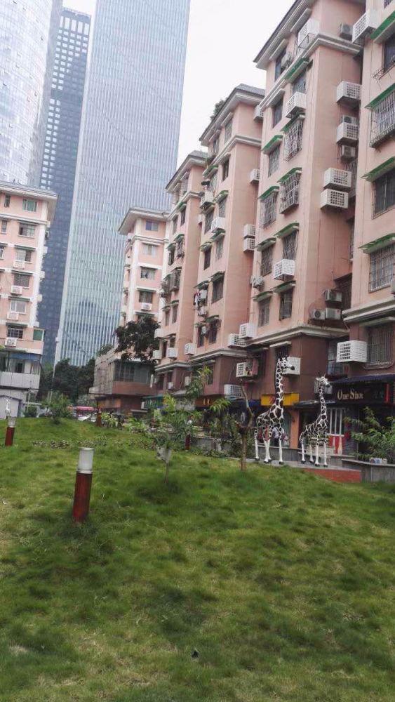 广州体育西小区二手房房源图片