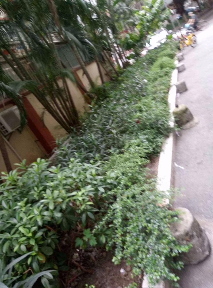 广州长庚门前街小区二手房房源图片