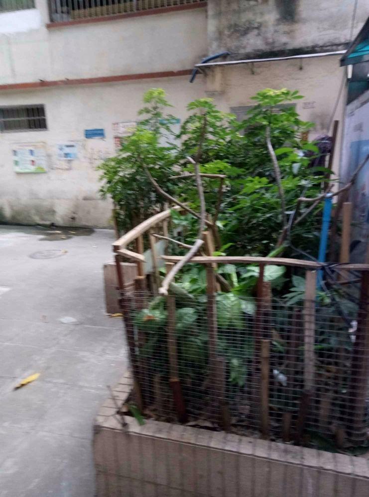 广州长庚门前街小区二手房房源图片