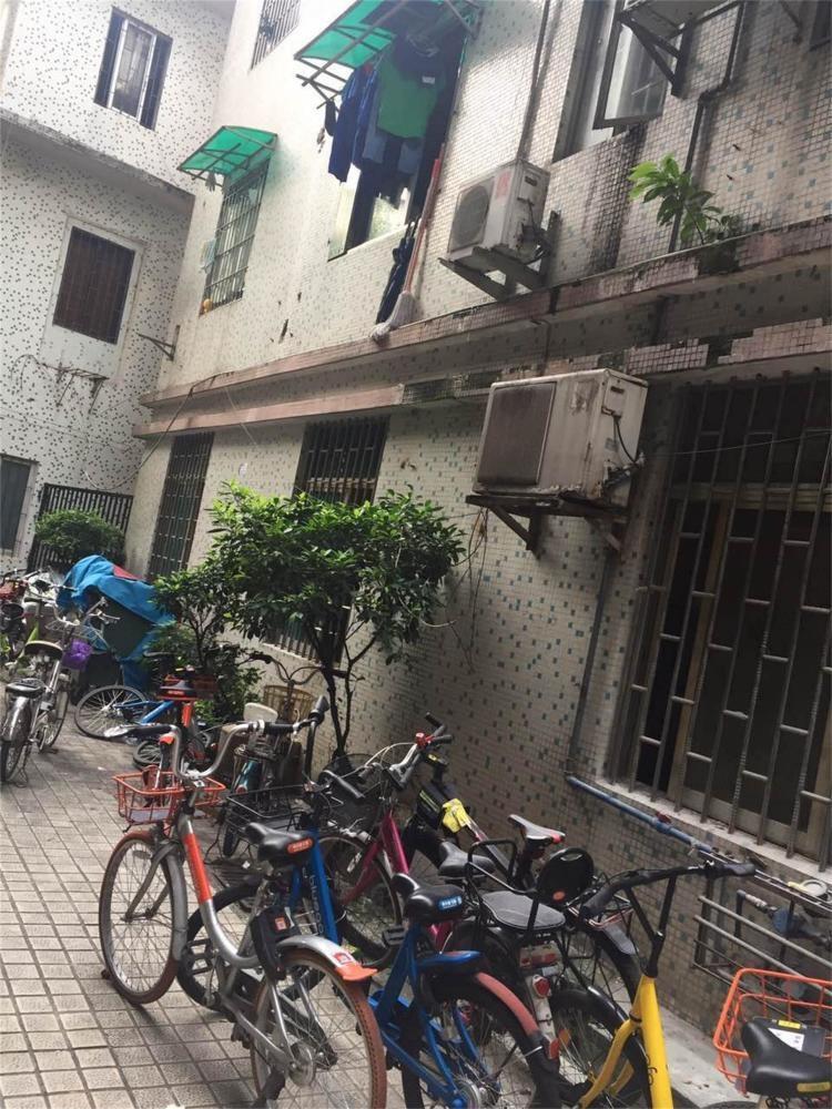 广州东川路小区二手房房源图片