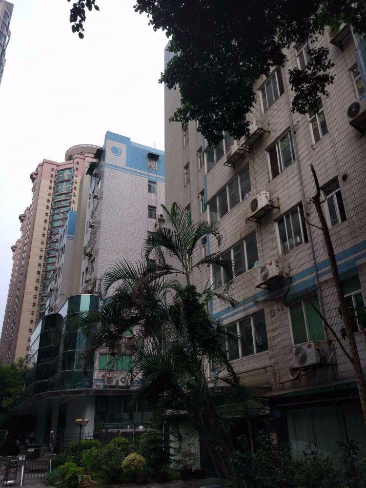广州龙口花苑二手房房源图片