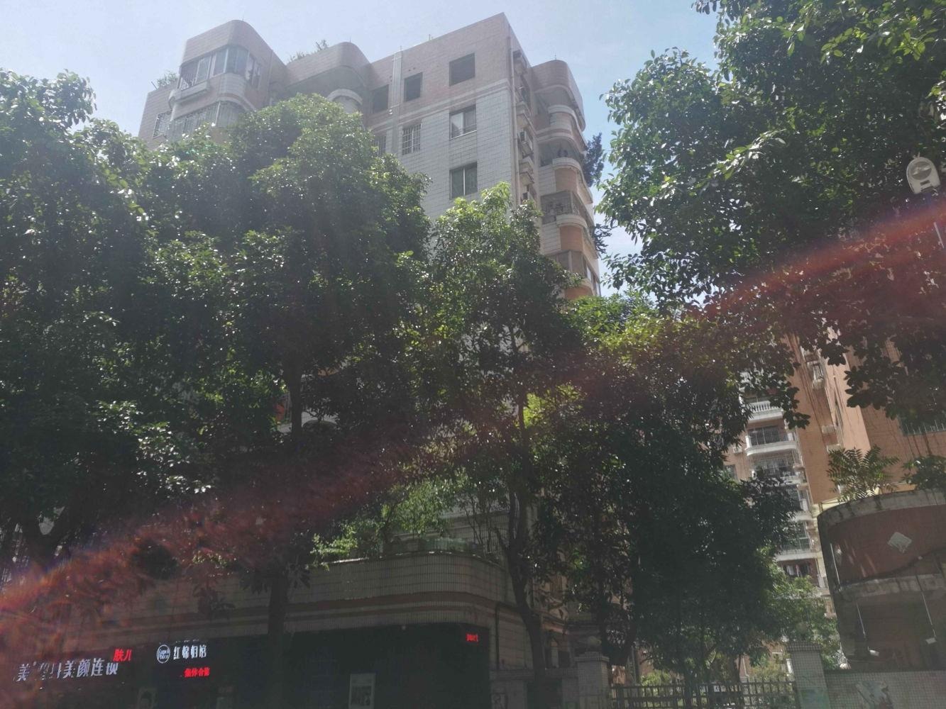 广州龙口花苑二手房房源图片