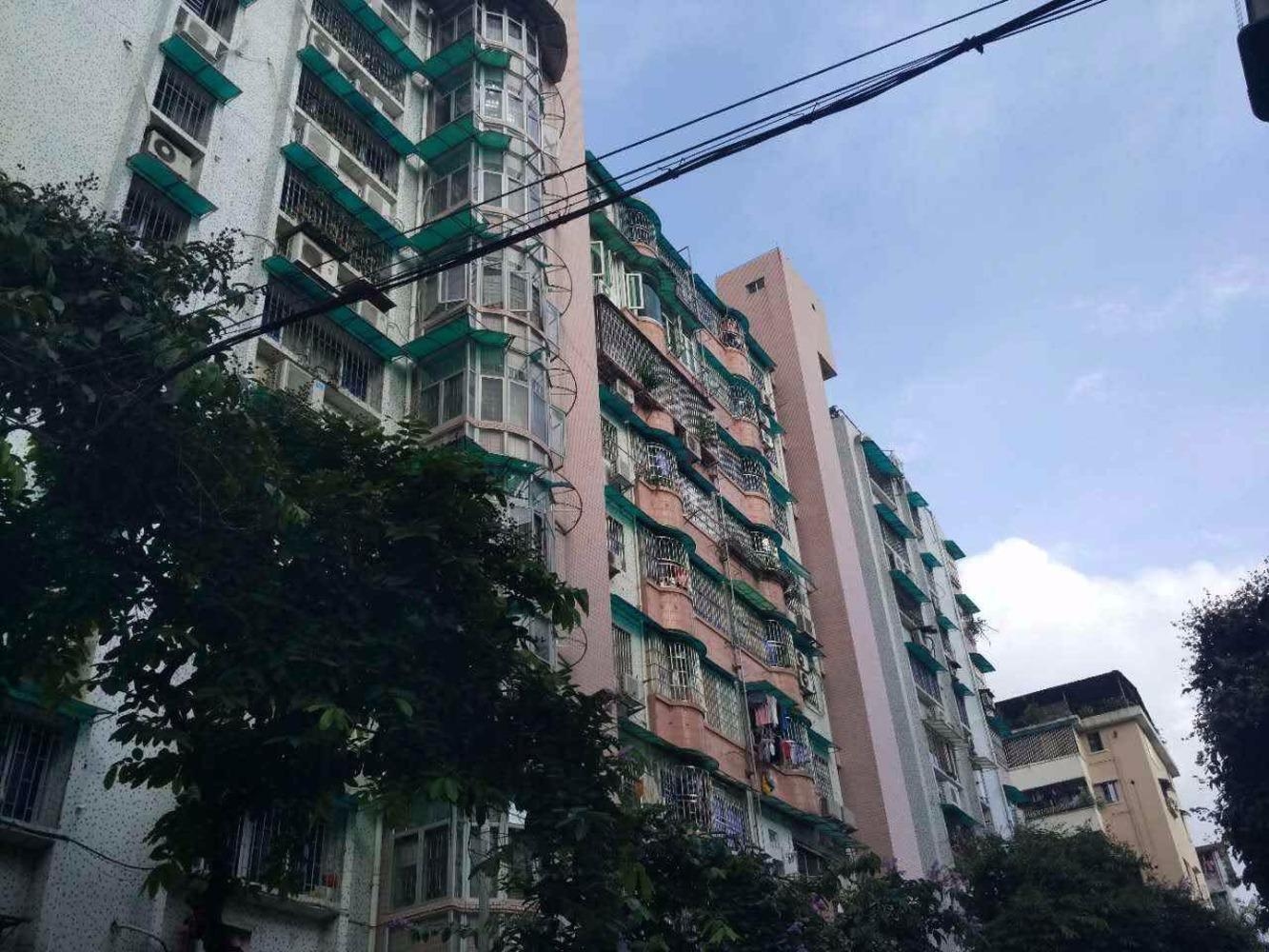 广州梅花村小区二手房房源图片