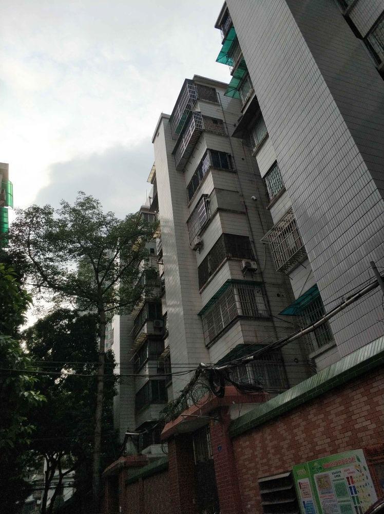 广州农林上路一横路大院二手房房源图片