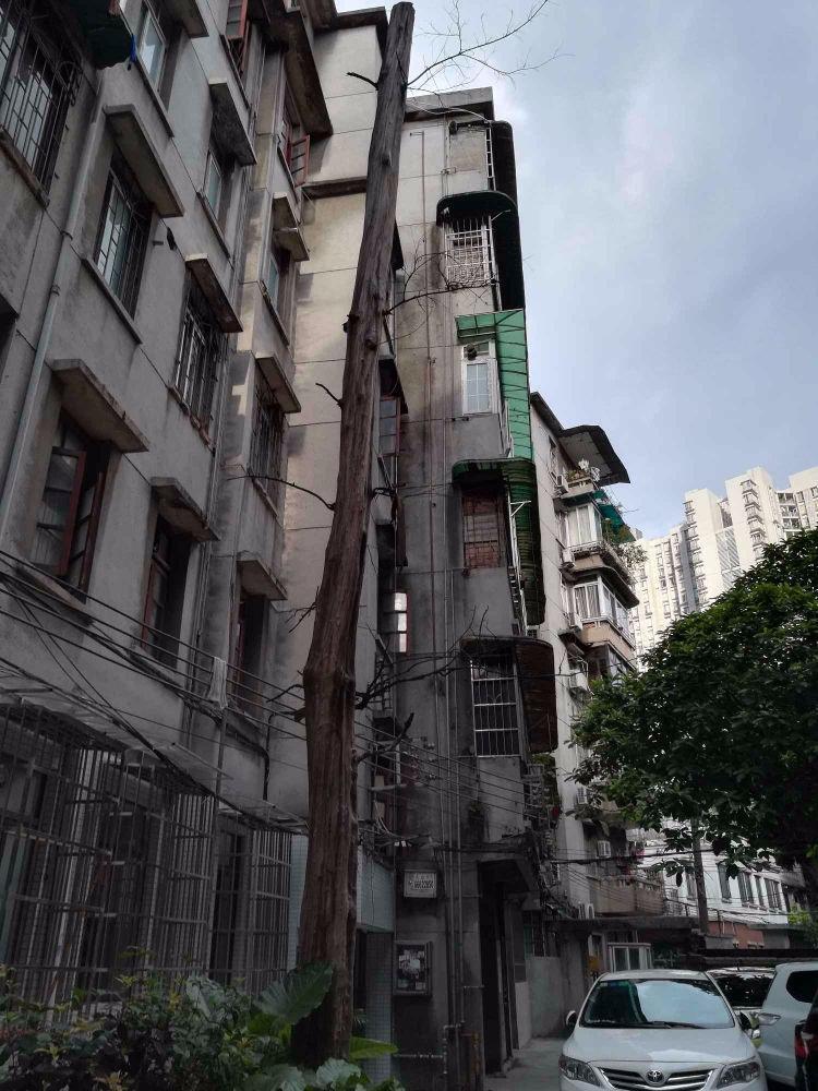 广州农林上路一横路大院二手房房源图片