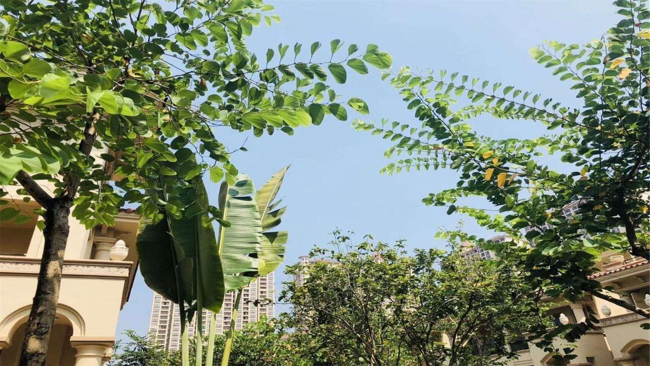 广州广州悦峰二手房房源图片